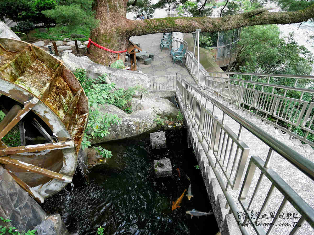 大臺中千年五葉松神木姻綠豬四方水第一家首間檜木溫泉標章旅館-谷關神木谷假期大飯店